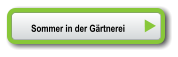 Sommer in der Gärtnerei