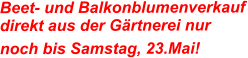 Beet- und Balkonblumenverkauf direkt aus der Gärtnerei nur  noch bis Samstag, 23.Mai!